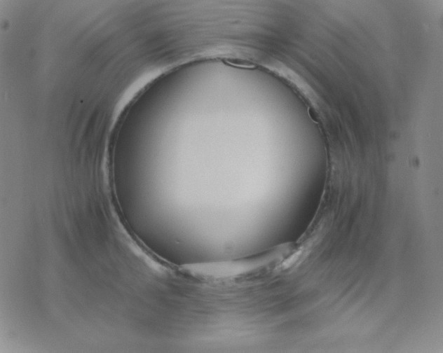 X0000071970902200607282055