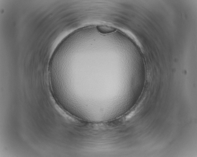 X0000071970903200607282055