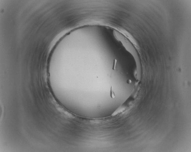 X0000071970904200607282055