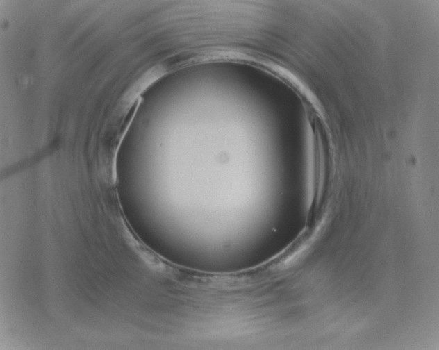 X0000071970905200607282055