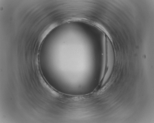 X0000071970906200607282055