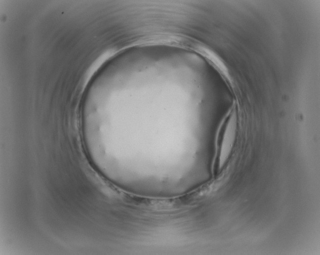 X0000071970907200607282055