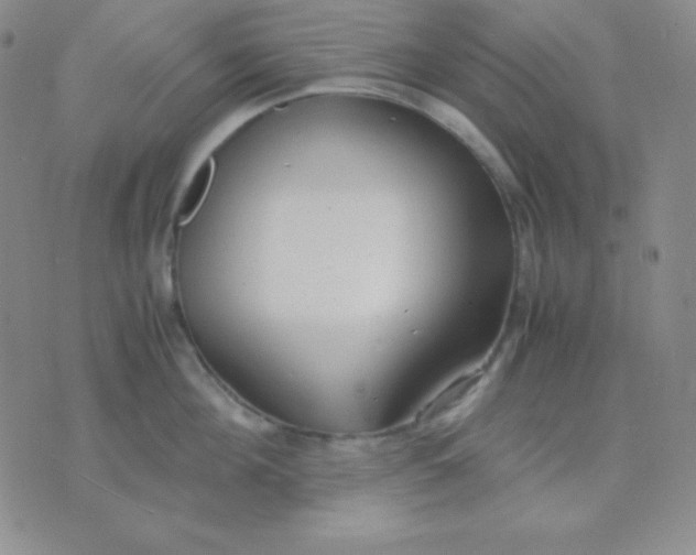 X0000071970908200607282055