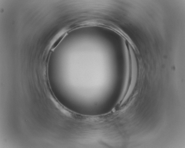 X0000071970909200607282055