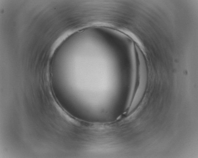 X0000071970910200607282055