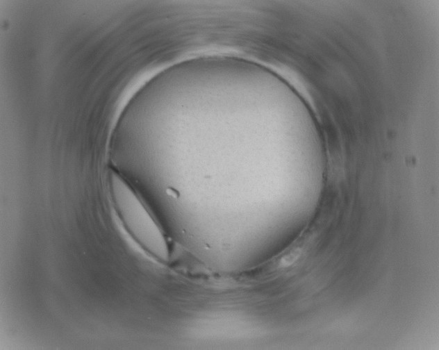 X0000071970911200607282055