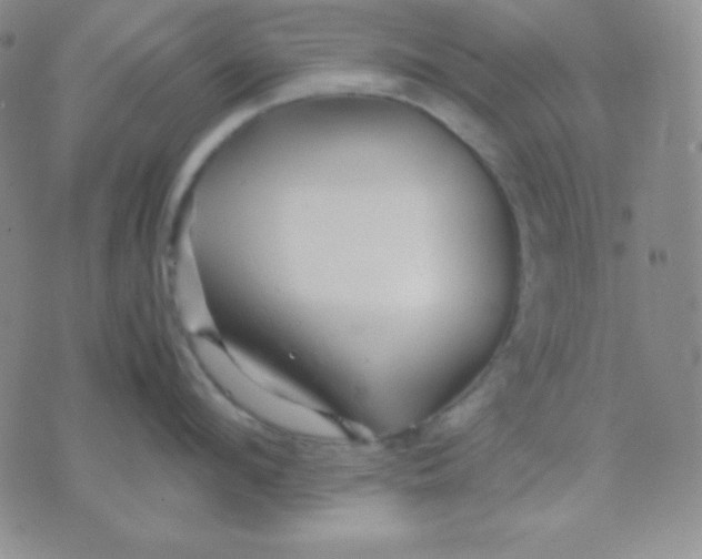 X0000071970912200607282055