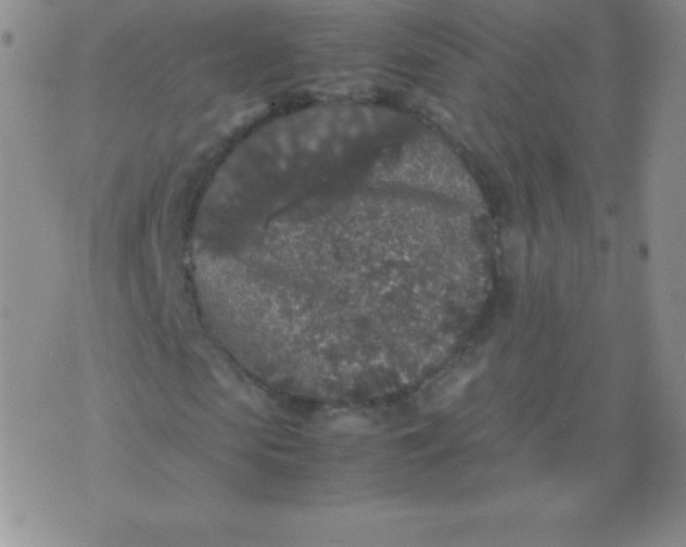 X0000071970913200607282054