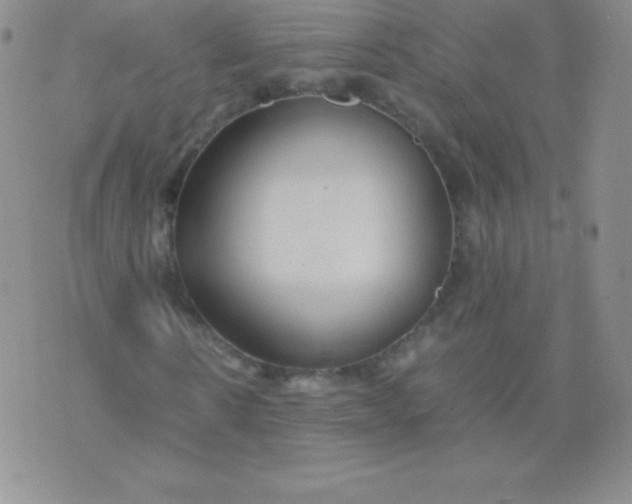 X0000071970914200607282054