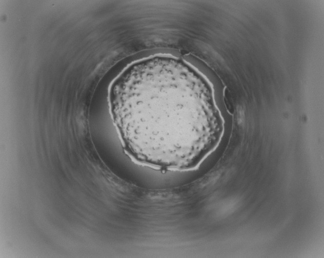 X0000071970915200607282054