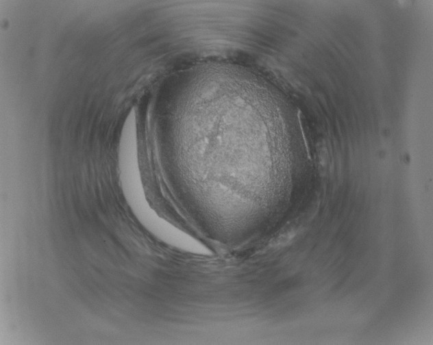 X0000071970916200607282054