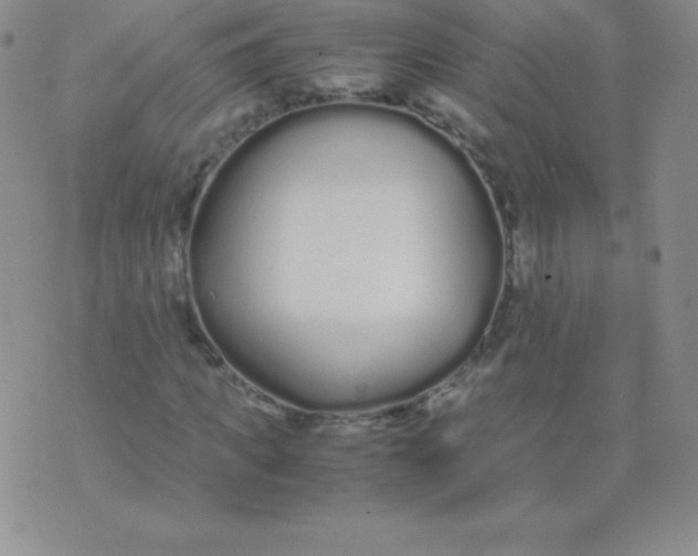 X0000071970917200607282054