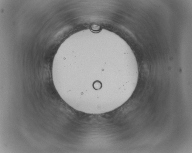 X0000071970918200607282054