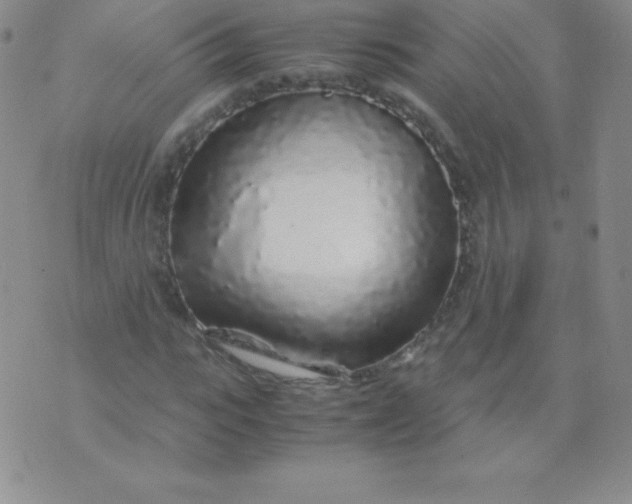 X0000071970919200607282054