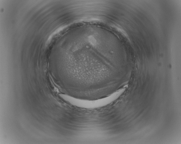 X0000071970920200607282054