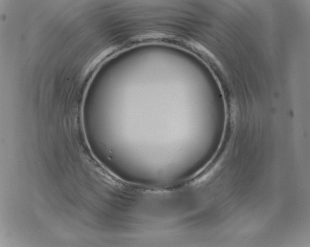 X0000071970921200607282054