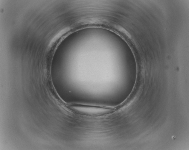 X0000071970922200607282054