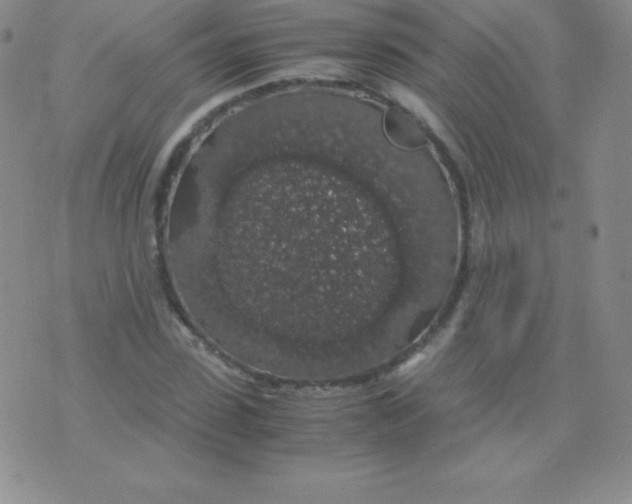 X0000071970923200607282054