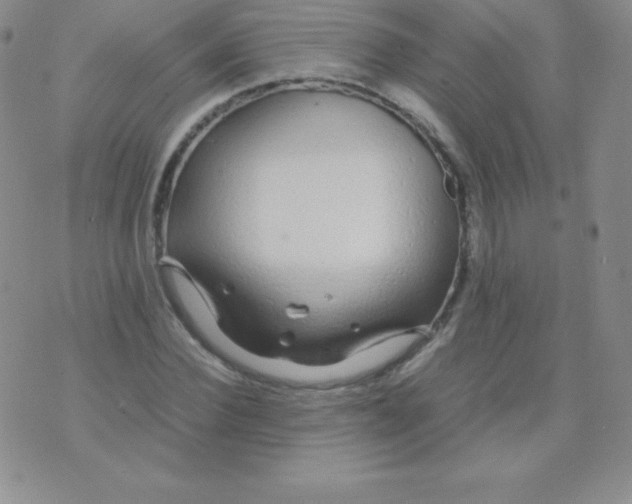 X0000071970924200607282054