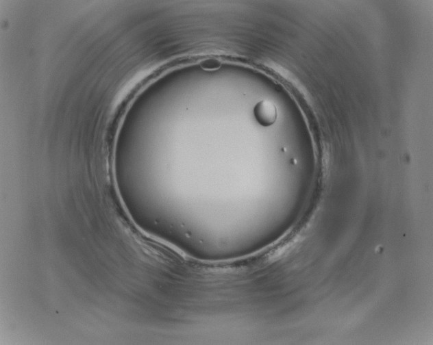 X0000071970925200607282054