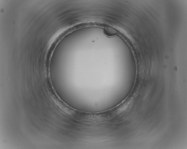 X0000071970927200607282054