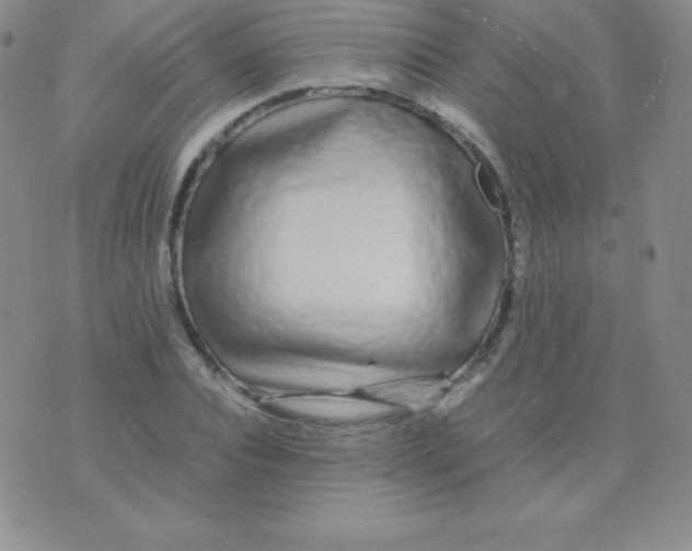 X0000071970928200607282054