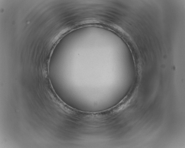 X0000071970929200607282054