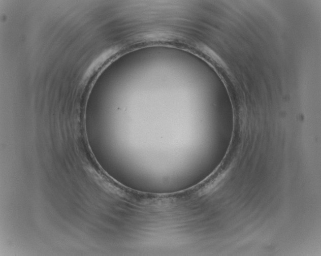 X0000071970930200607282054