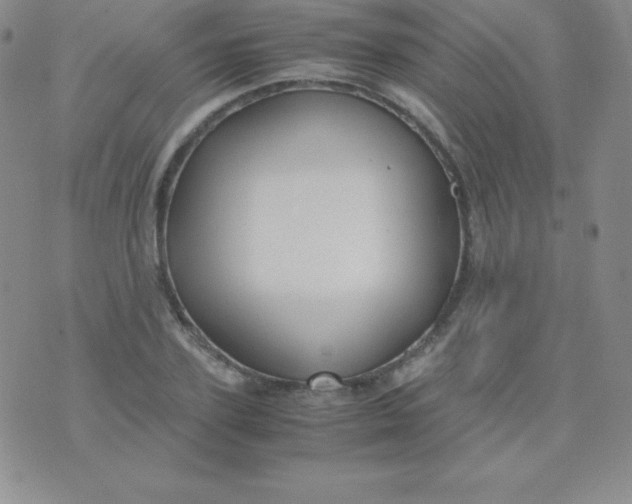 X0000071970931200607282054