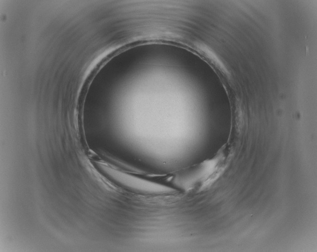 X0000071970932200607282054