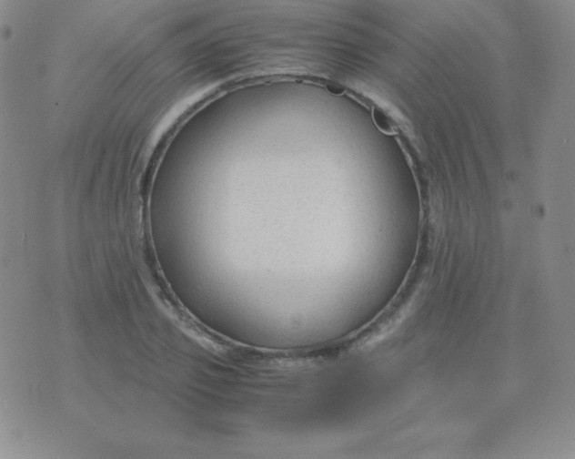 X0000071970933200607282054