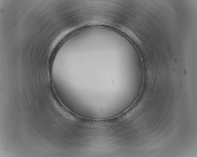 X0000071970934200607282054