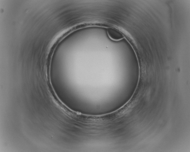 X0000071970935200607282054