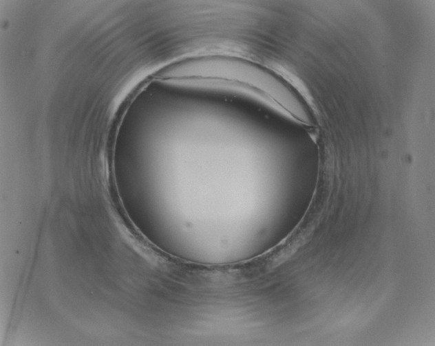 X0000071970936200607282054