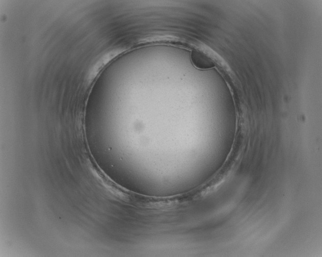 X0000071970937200607282054