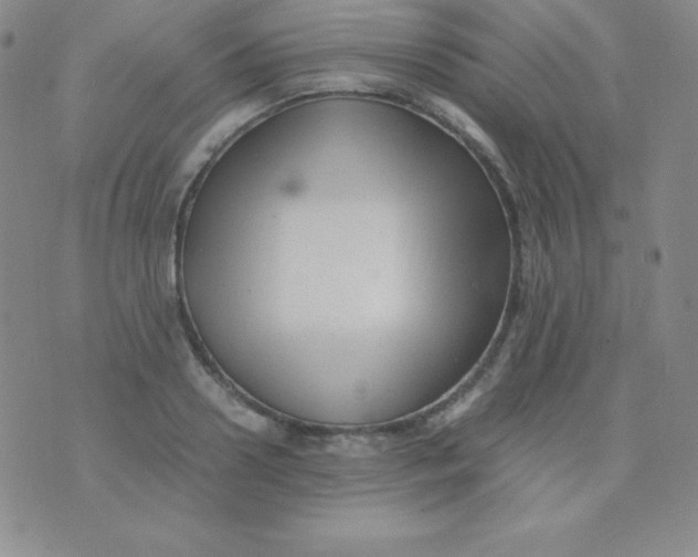 X0000071970938200607282054