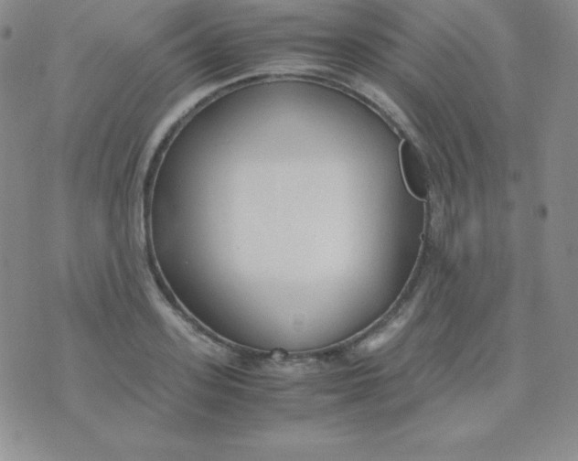 X0000071970939200607282054