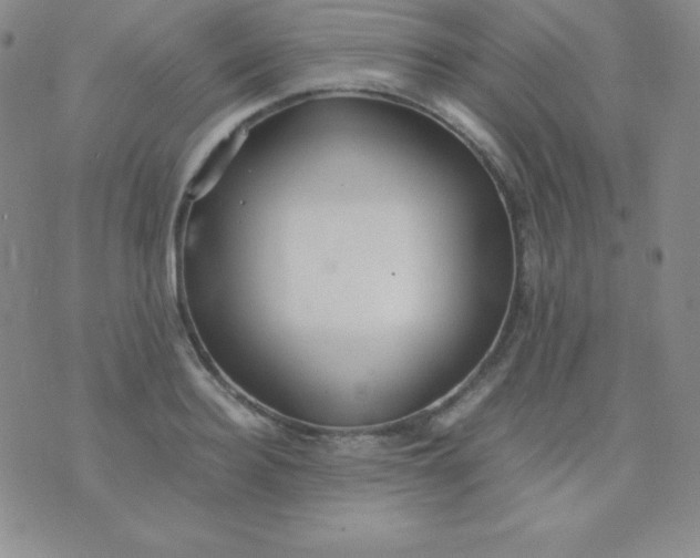 X0000071970940200607282054