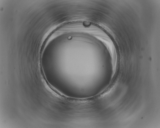 X0000071970941200607282054