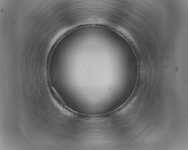 X0000071970942200607282054