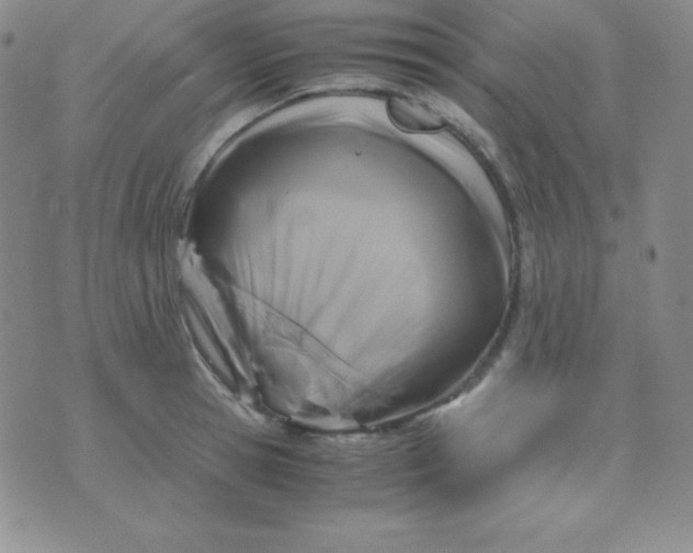 X0000071970945200607282054