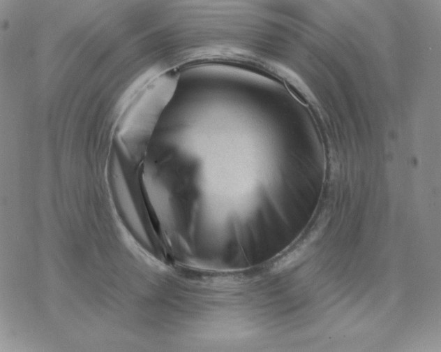 X0000071970946200607282054