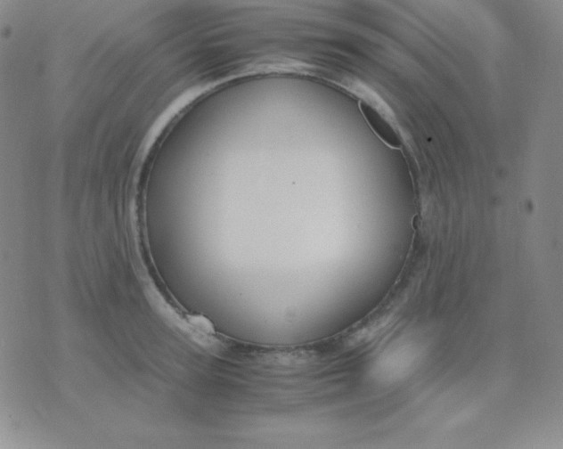 X0000071970947200607282054