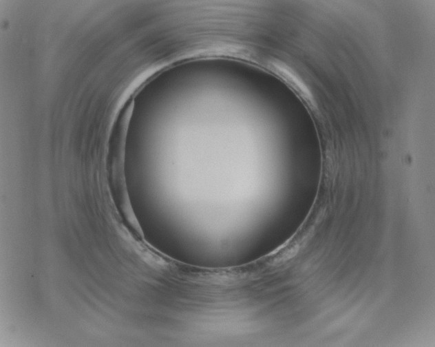 X0000071970948200607282054