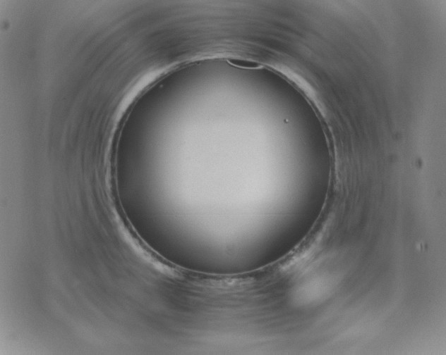 X0000071970949200607282055