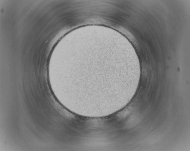 X0000071970950200607282055