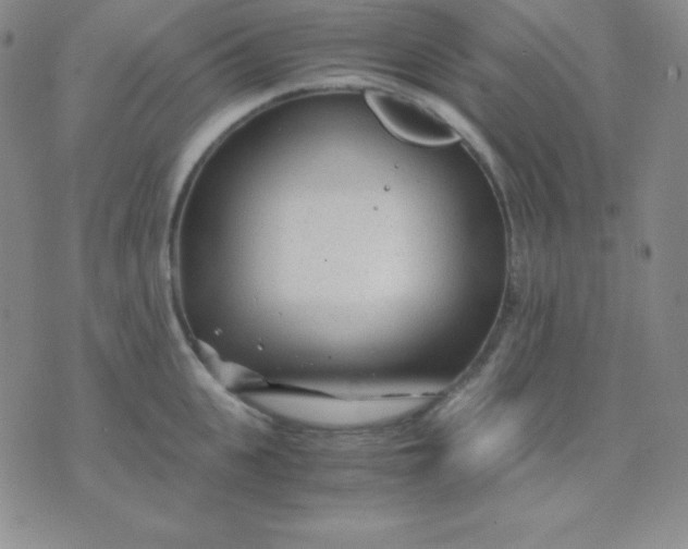 X0000071970951200607282055