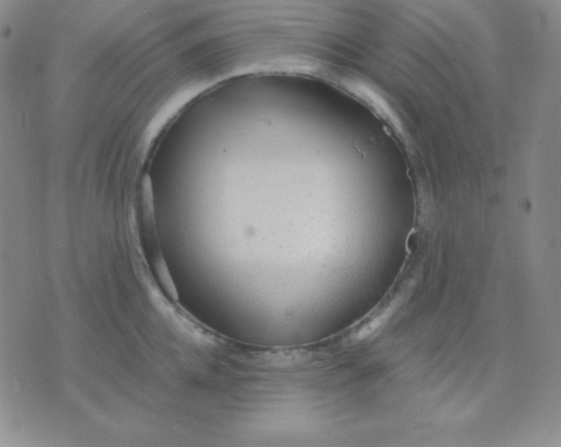 X0000071970952200607282055