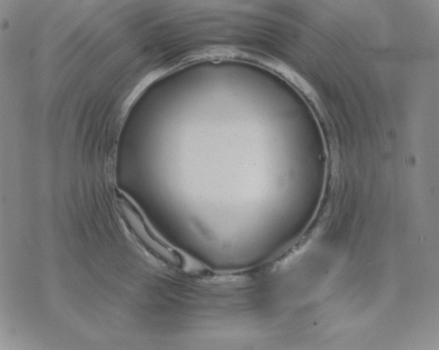 X0000071970953200607282055