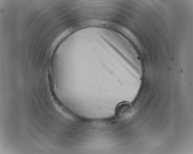 X0000071970954200607282055